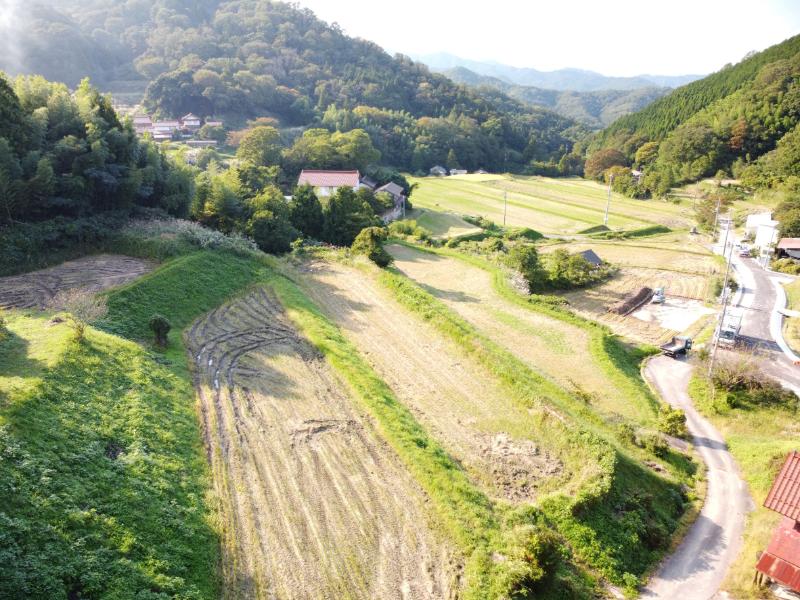 「ゆうだい21」も無農薬・無化学肥料で丁寧に栽培