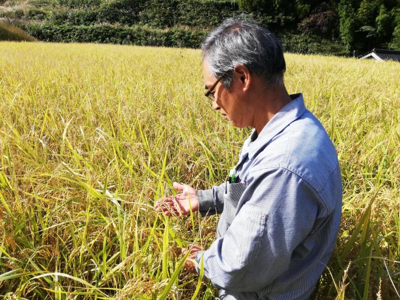 生産者の想い｜競技魂で育てた“勝つ米”