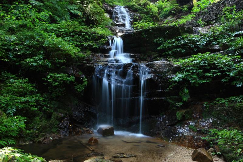 名水にこだわる